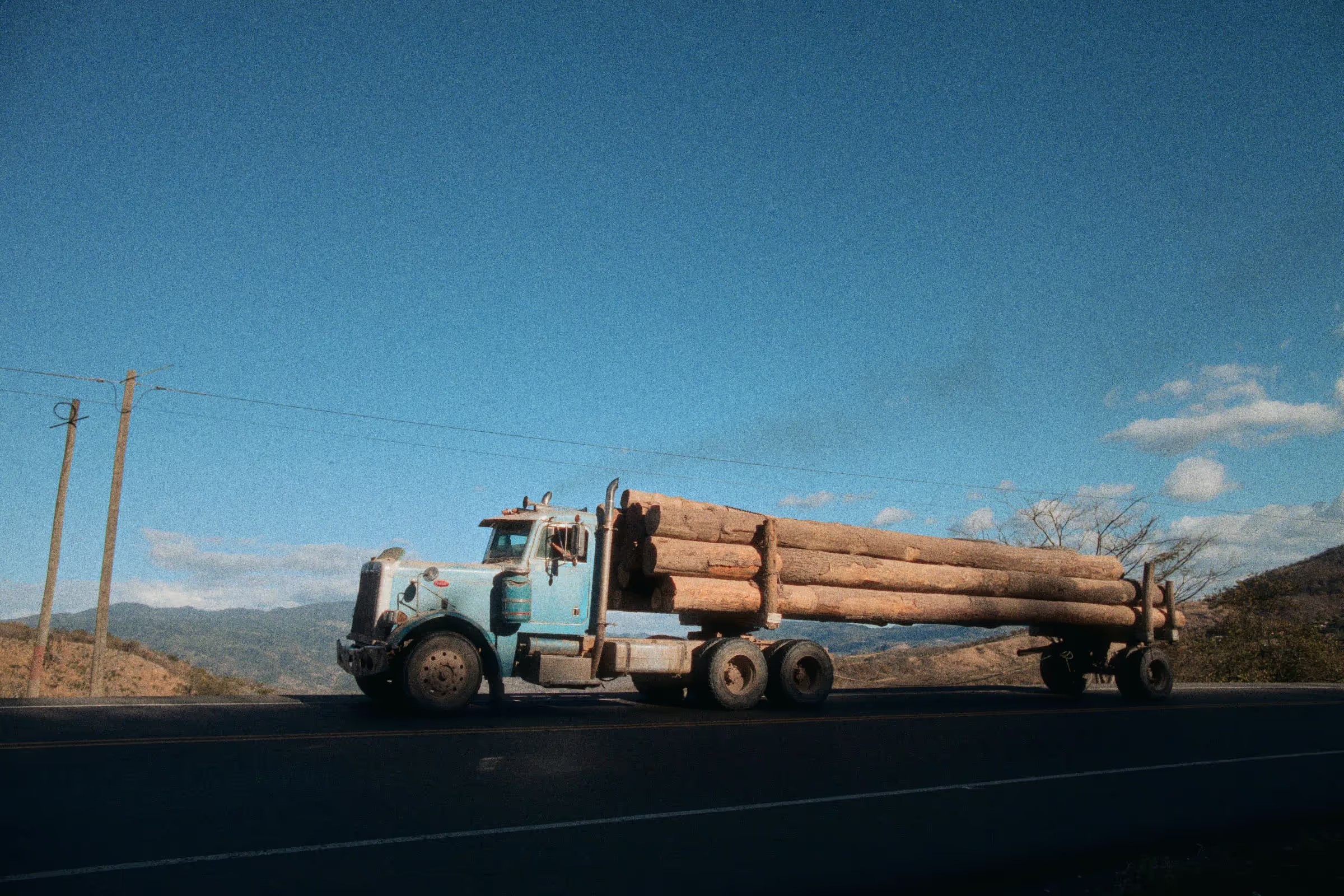 Logging truck transporting cut trees.