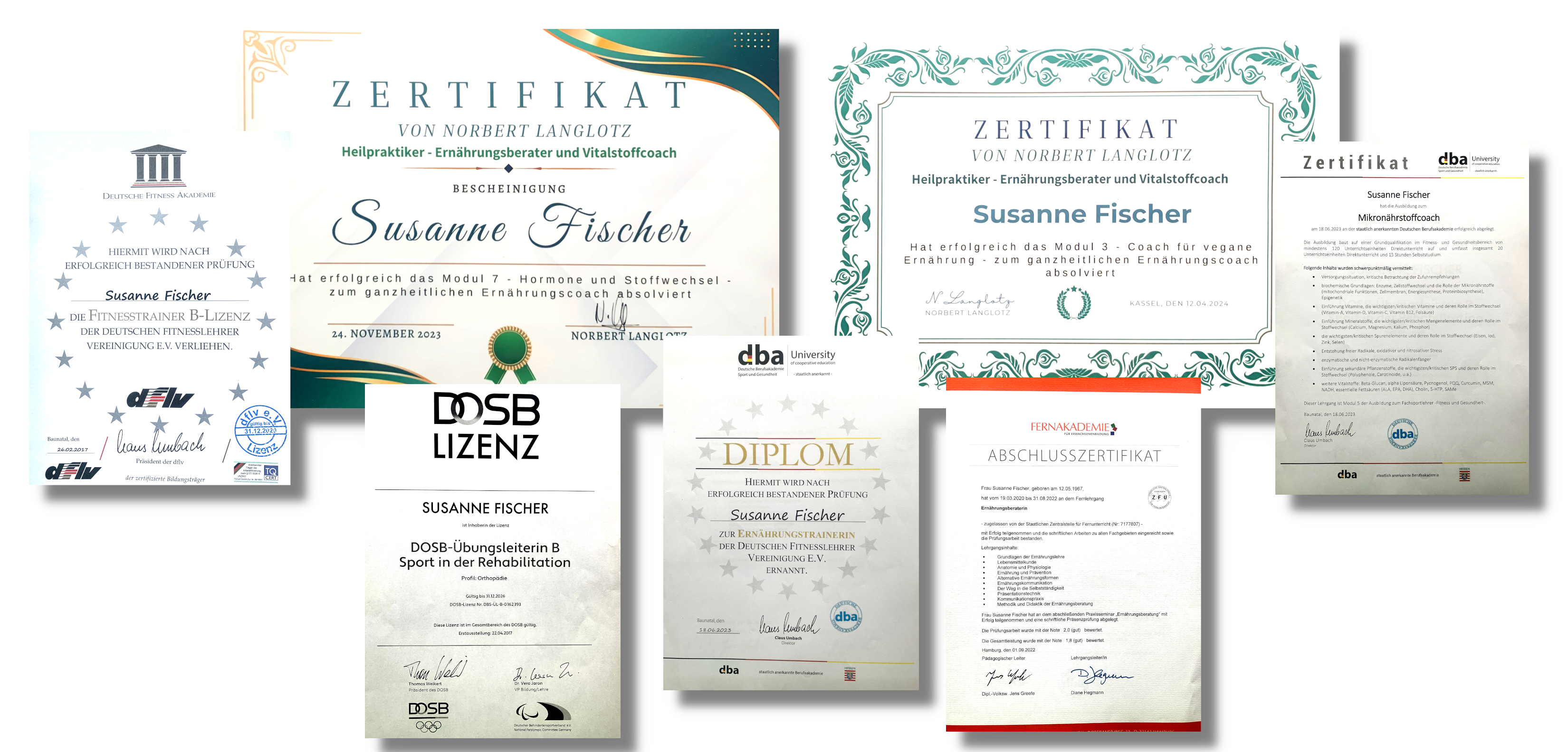 Verschiedene Zertifikate und Auszeichnungen von Susanne Fischer