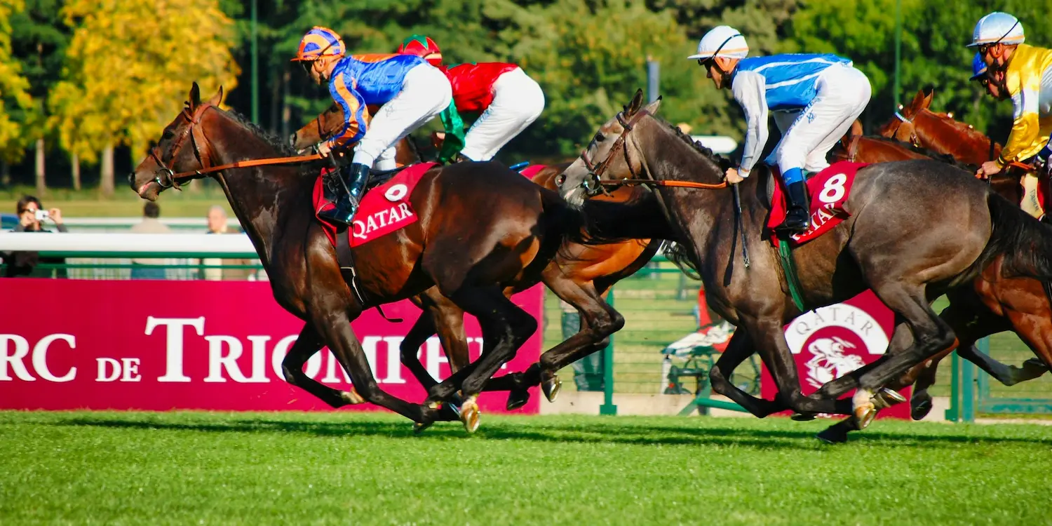 色鮮やかな勝負服を身にまとった4人の騎手が、緑の芝のトラックで競走馬を走らせている。背景には赤いカタールの旗が掲げられている。.