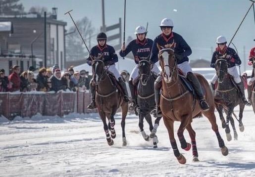 2026 Global Sports Events with Airport Executive Chauffeur Services