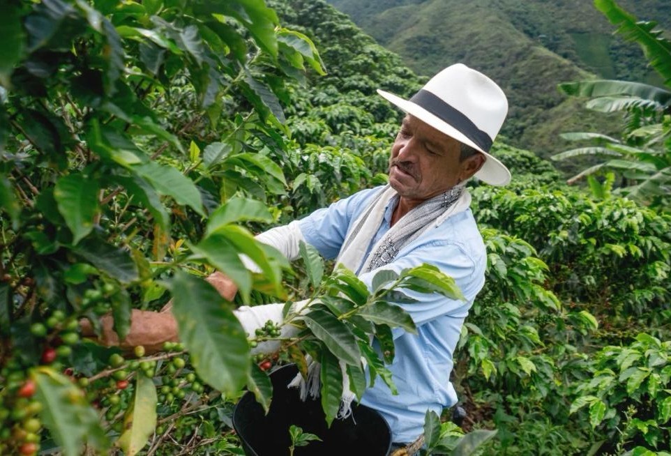 Dry January Travel: The World’s Top Coffee Destinations 