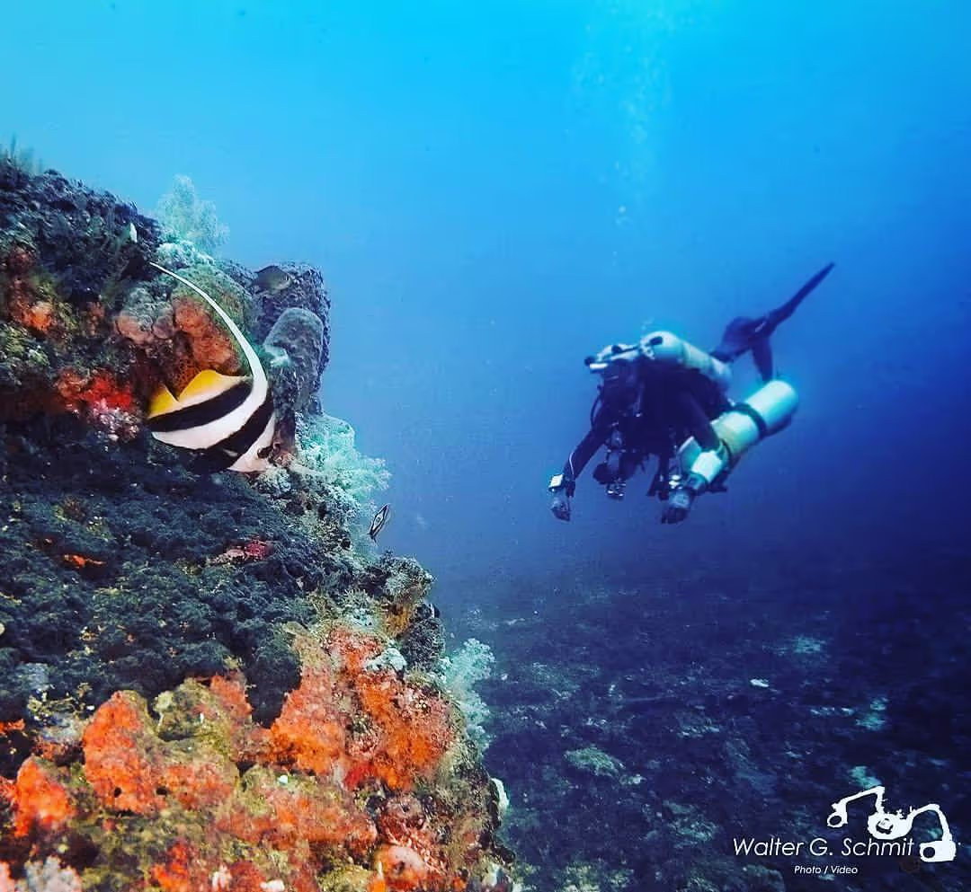 Underwater scene