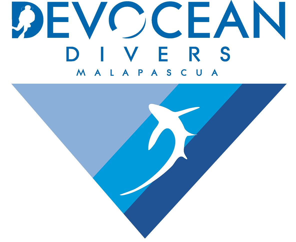 Devocean diver logo