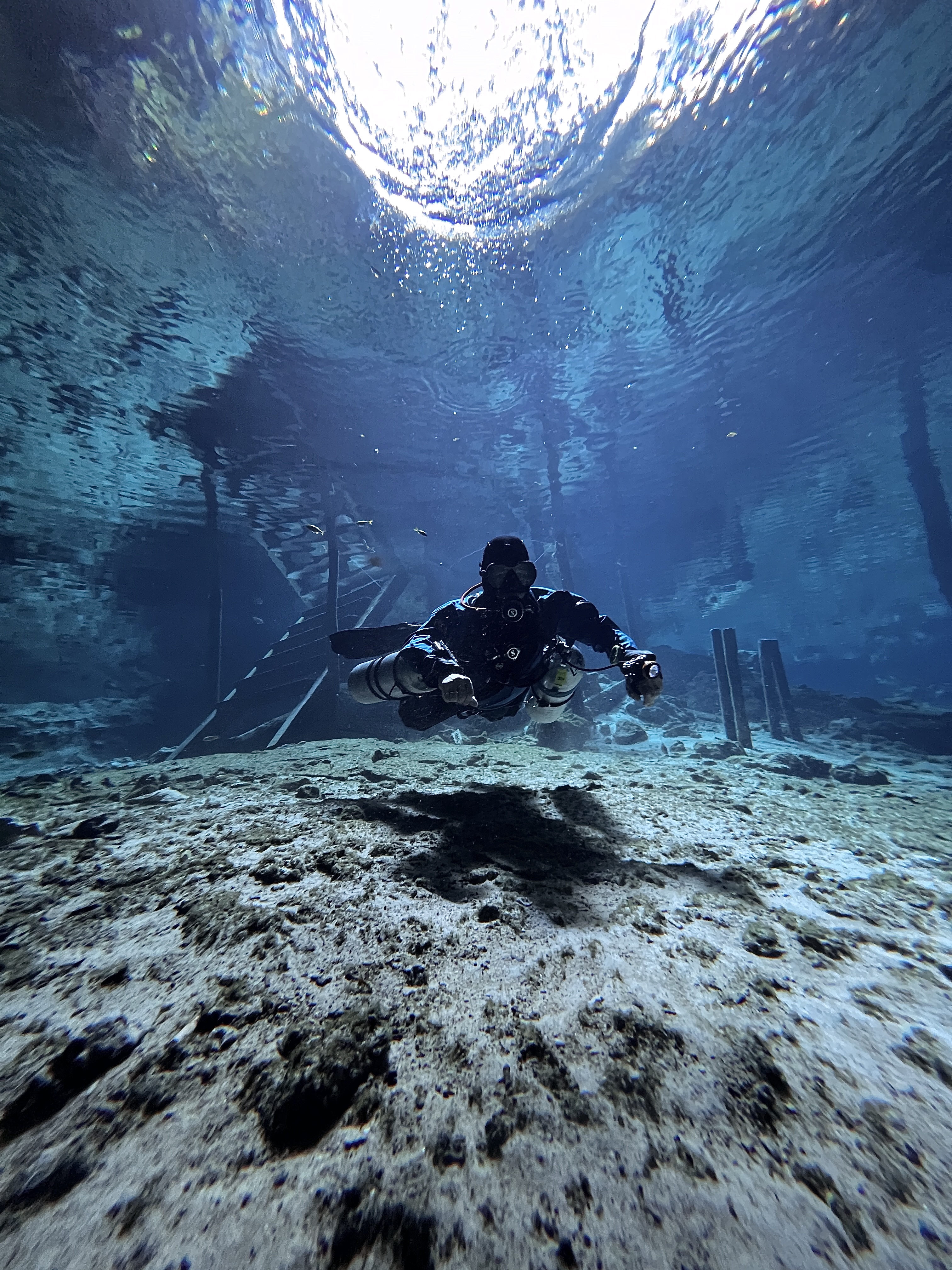 underwater scene during scuba diving in the cenotes