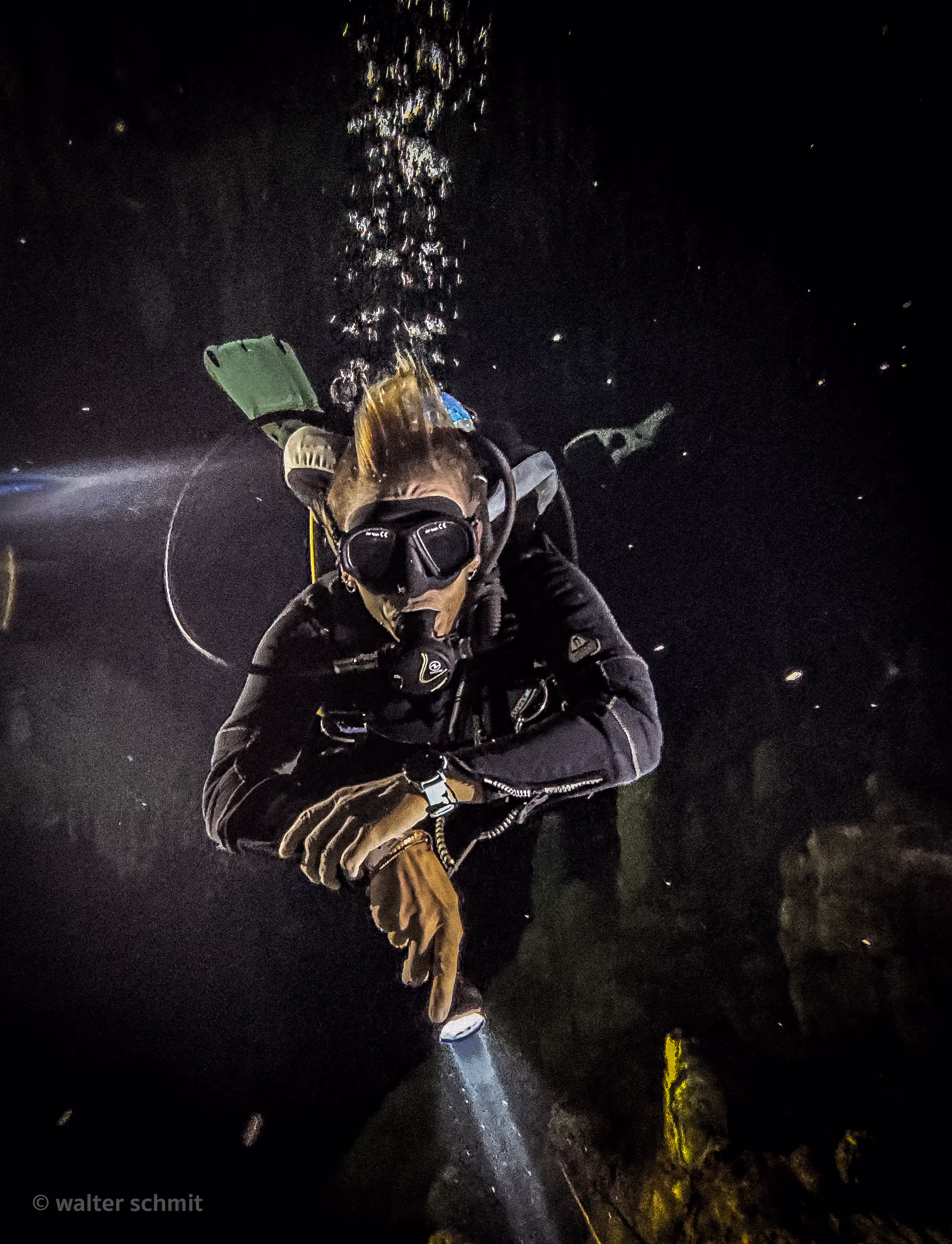underwater scene during scuba diving in the cenotes