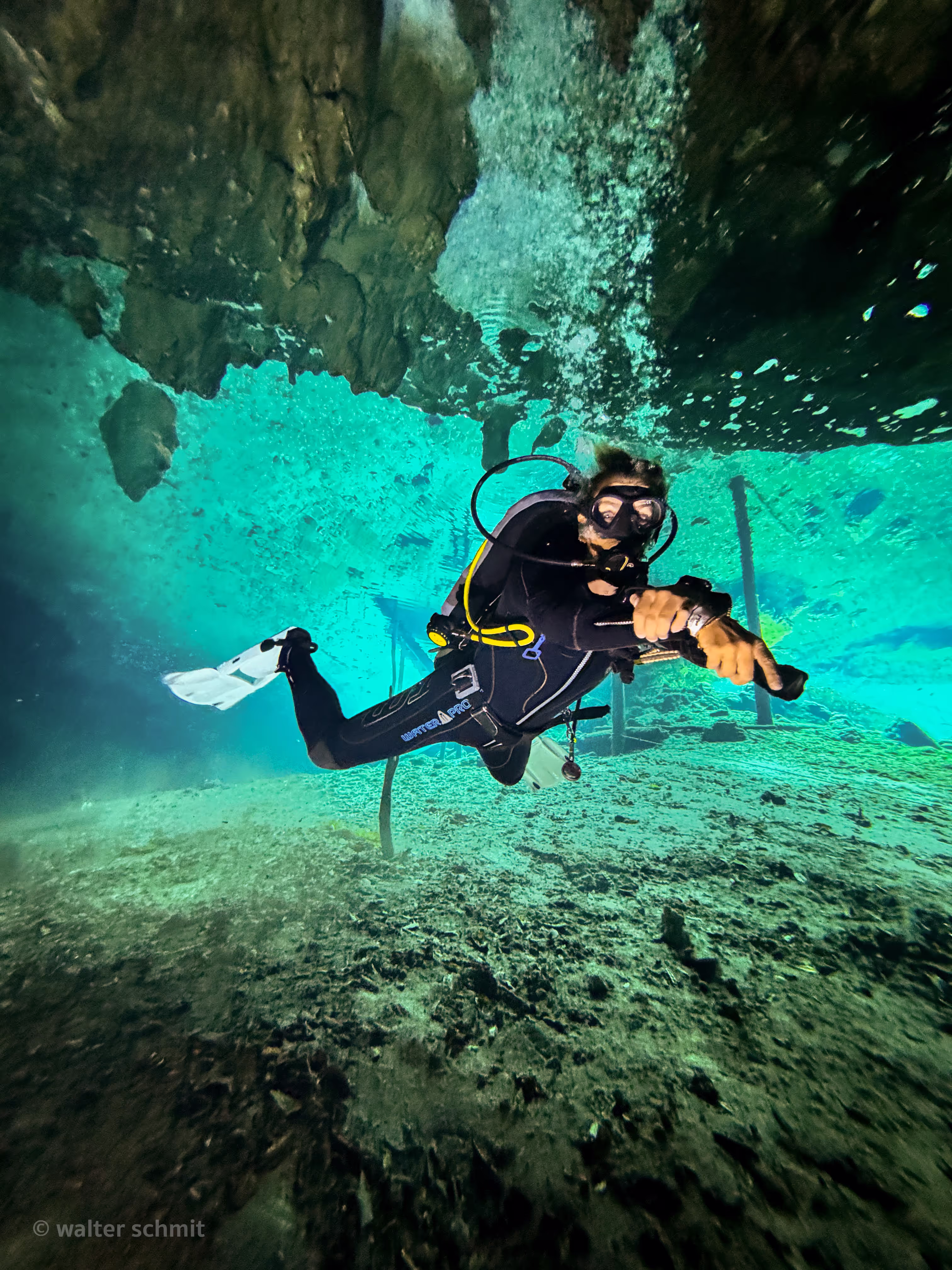 underwater scene during scuba diving in the cenotes