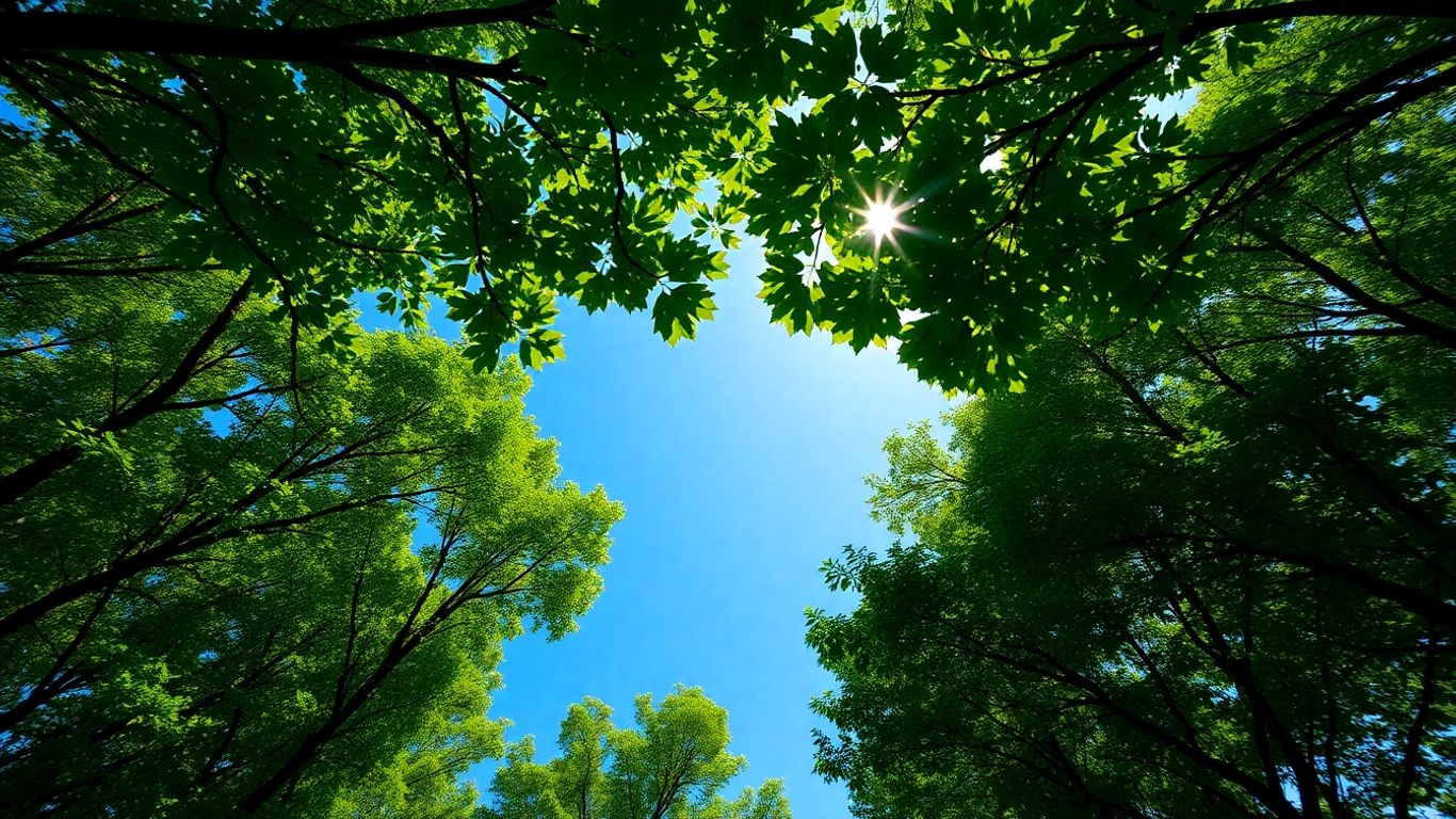 Green forest canopy with sunlight and a subtle globe.