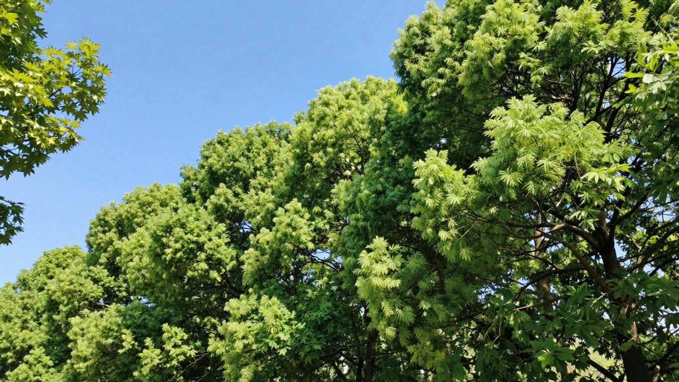 Zurich ESG Report: Nature and sustainability visual.