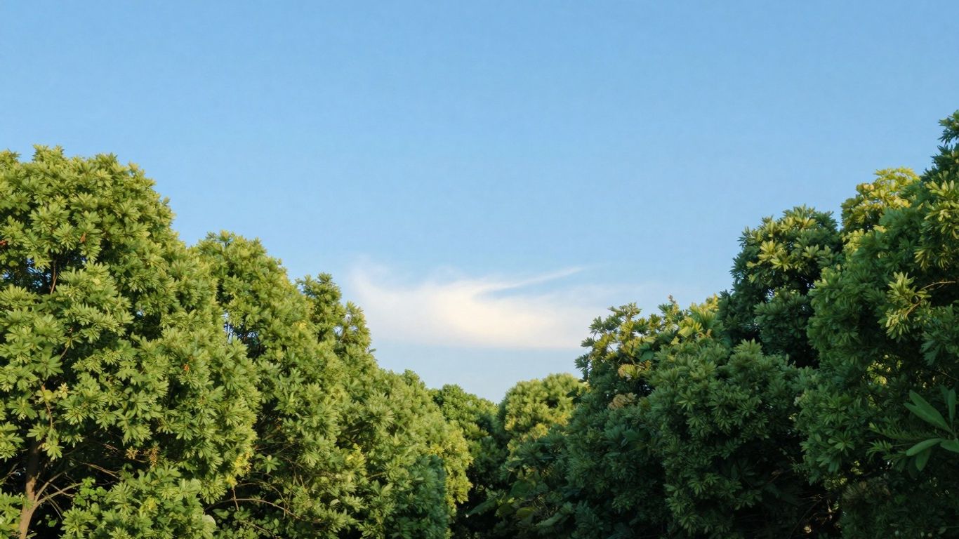 Green landscape with sunlight and abstract light shimmer.