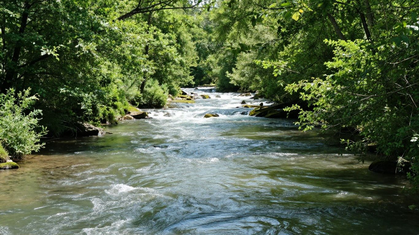 Flowing river in a lush green landscape under sunlight.