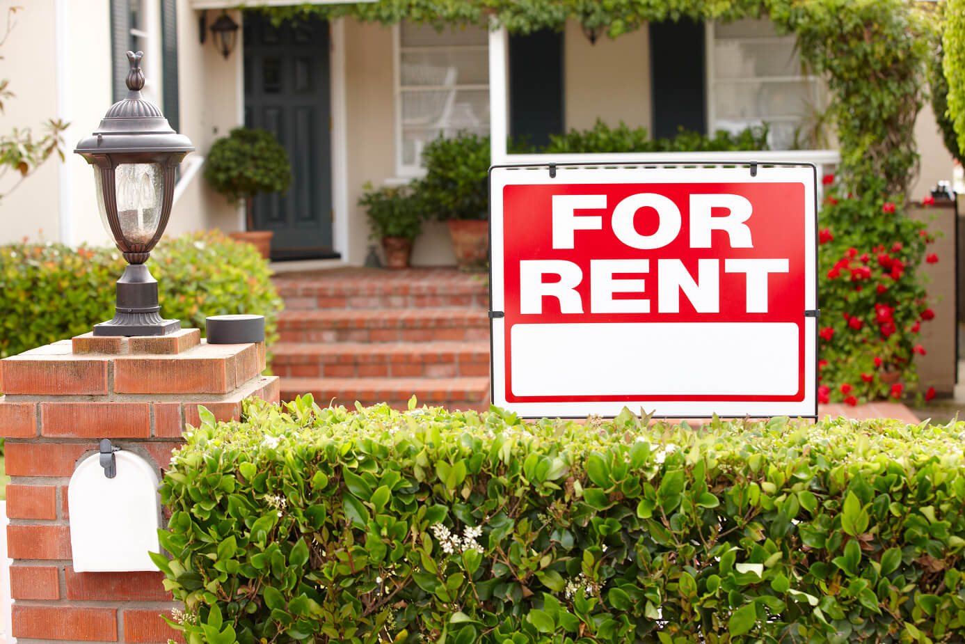 How To Build Credit as a Renter
