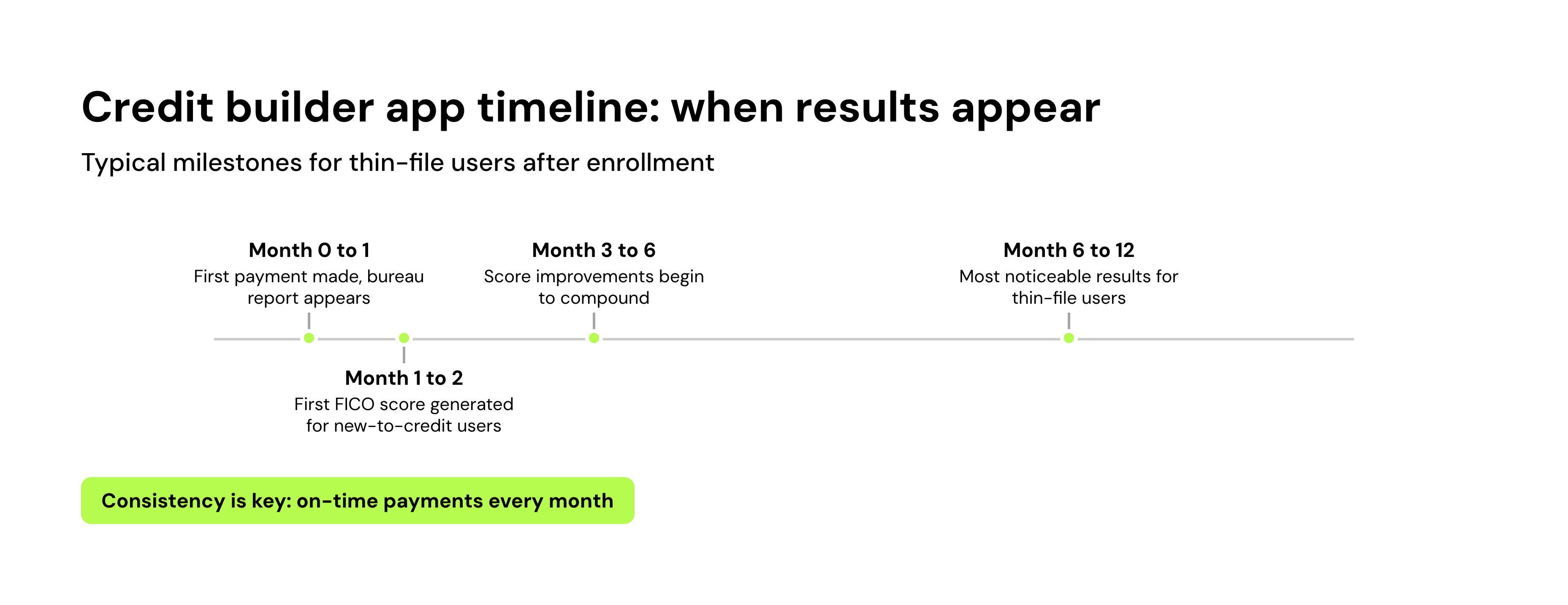Credit builder app timeline: when results appear