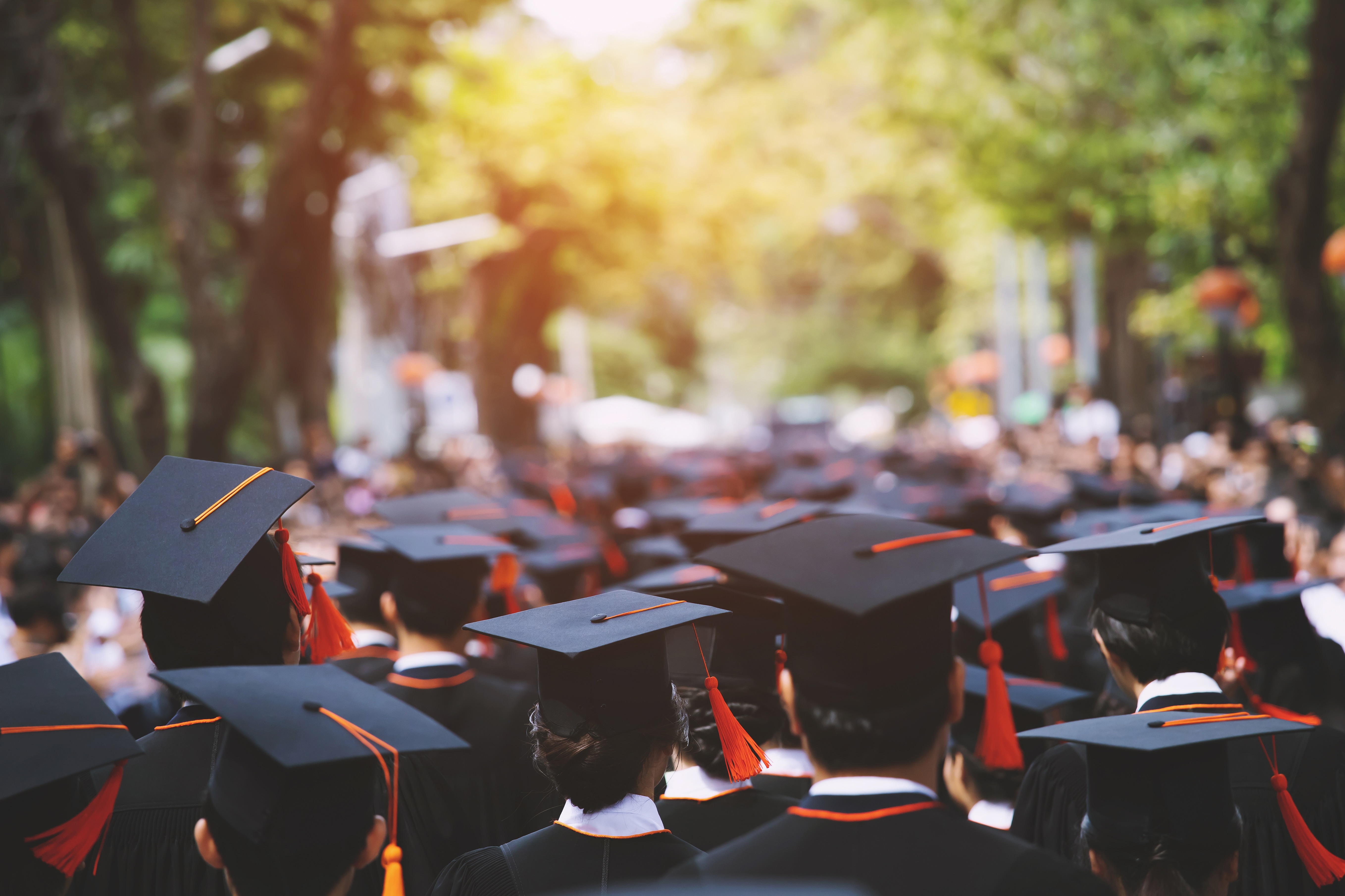 Can You Use 529 Plan Money to Pay Off Student Loans?
