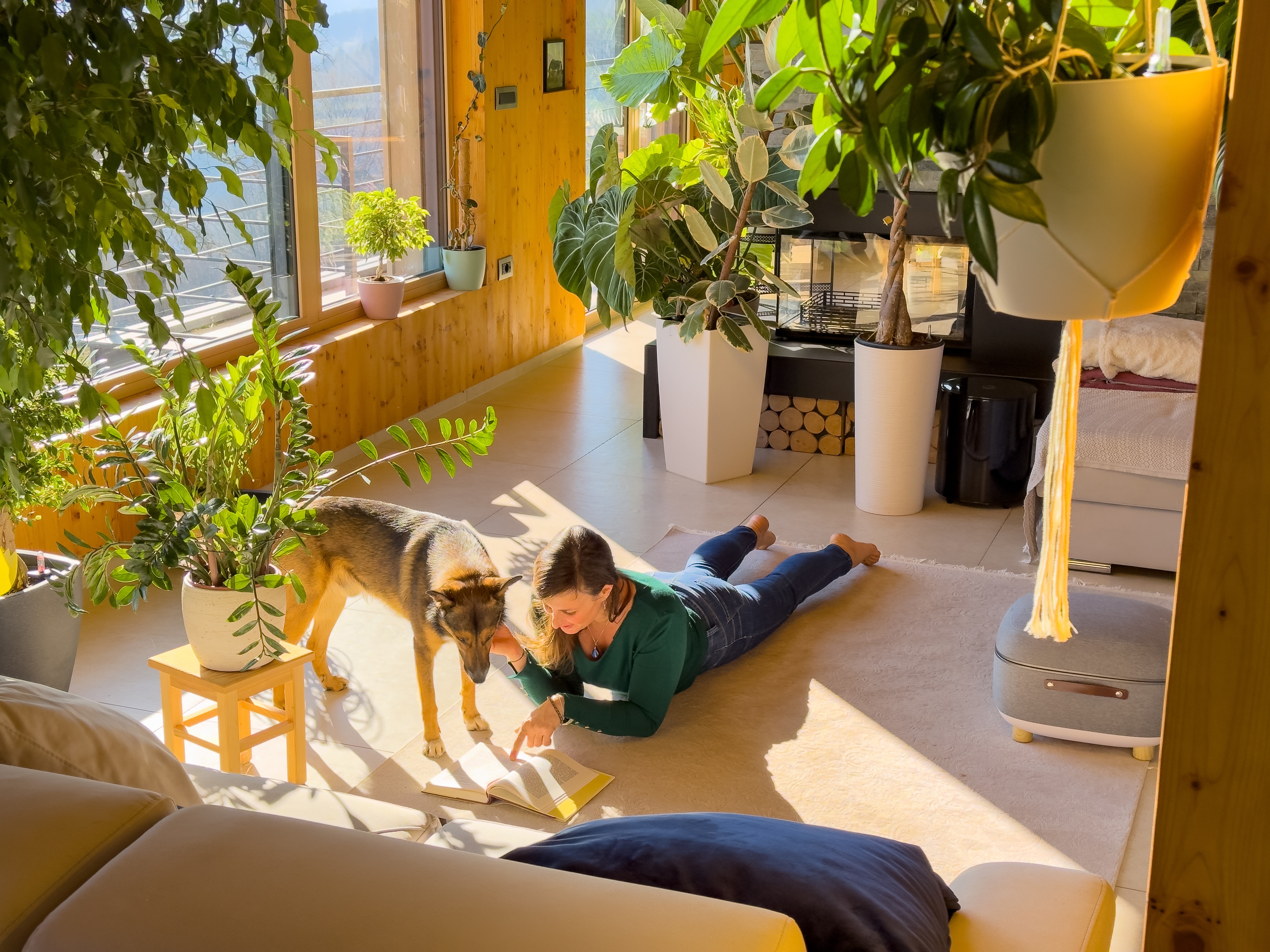 HELOC vs. Home Equity Loan: What's the Difference?
