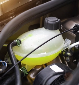 Antifreeze/Coolant Check