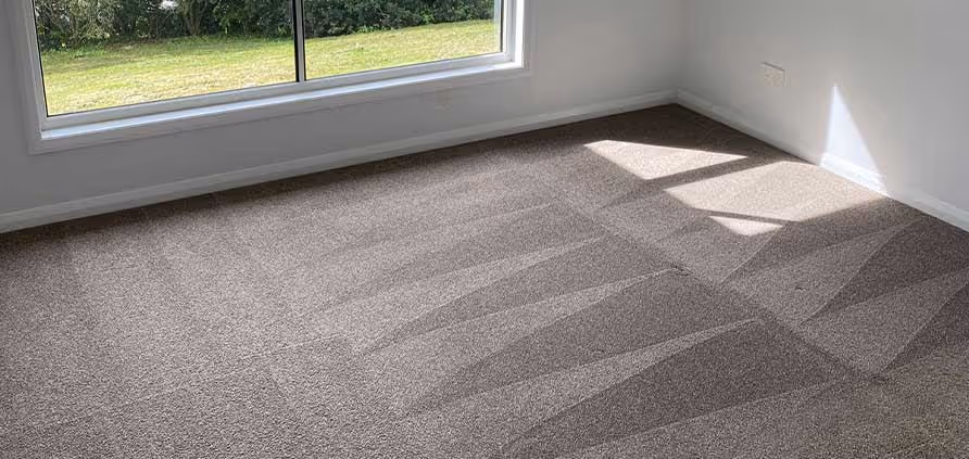 end of lease carpet clean