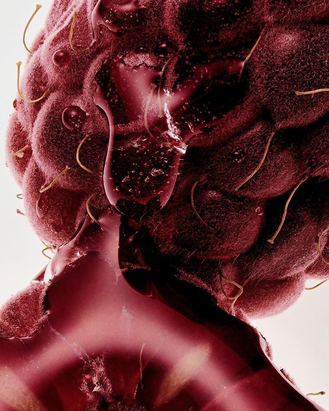 Branding premium 5 etapes Amy Studio