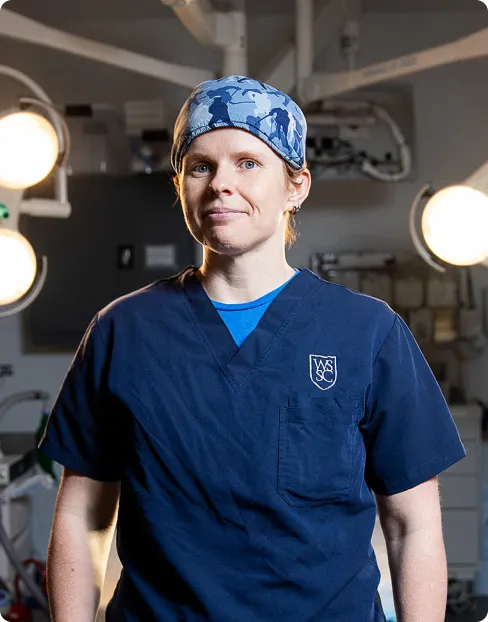 Orthopedic surgeon experience