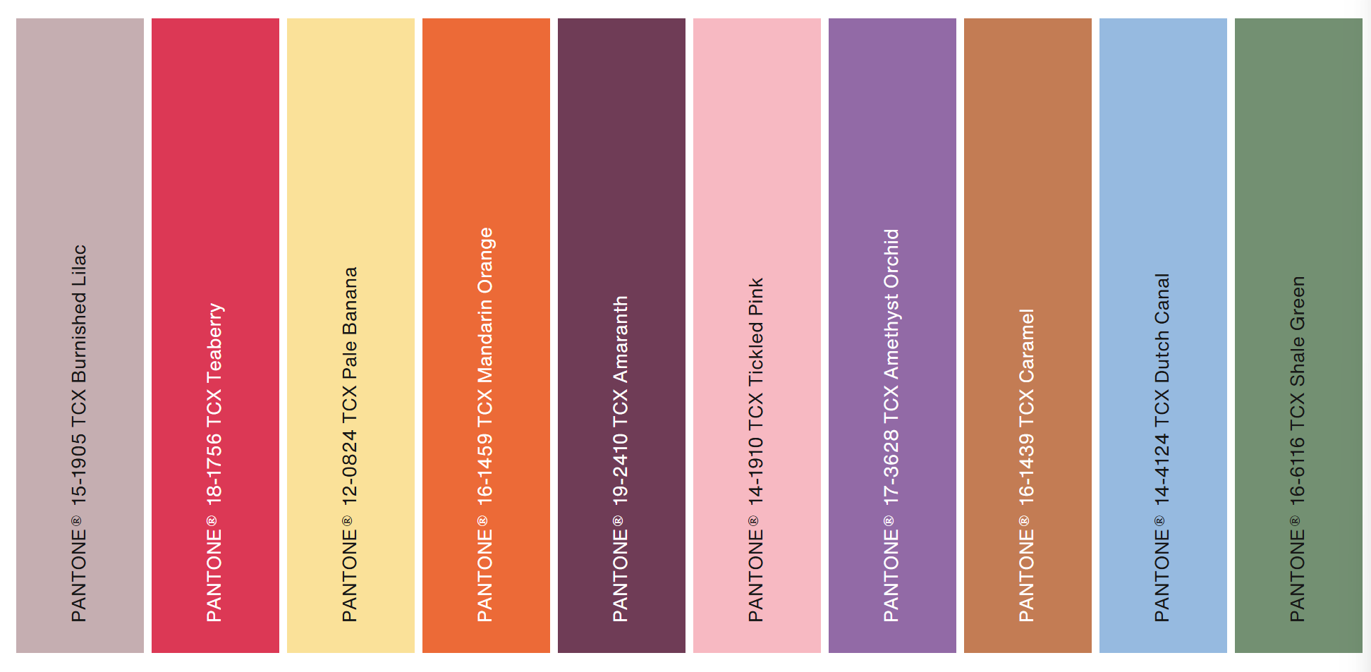 color trend forecasts
