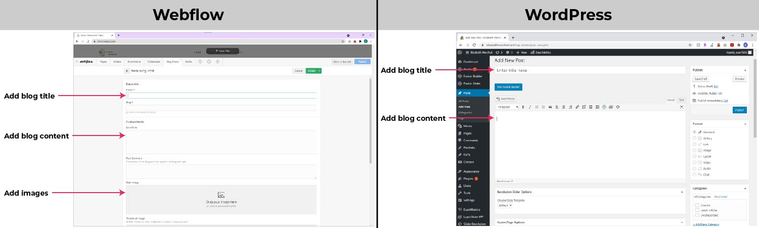 Webflow vs WordPress