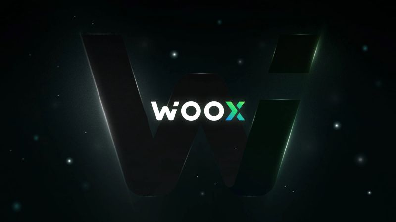 WOO X Exchange Hacked – $14M in User Funds Stolen, Withdrawals Suspended