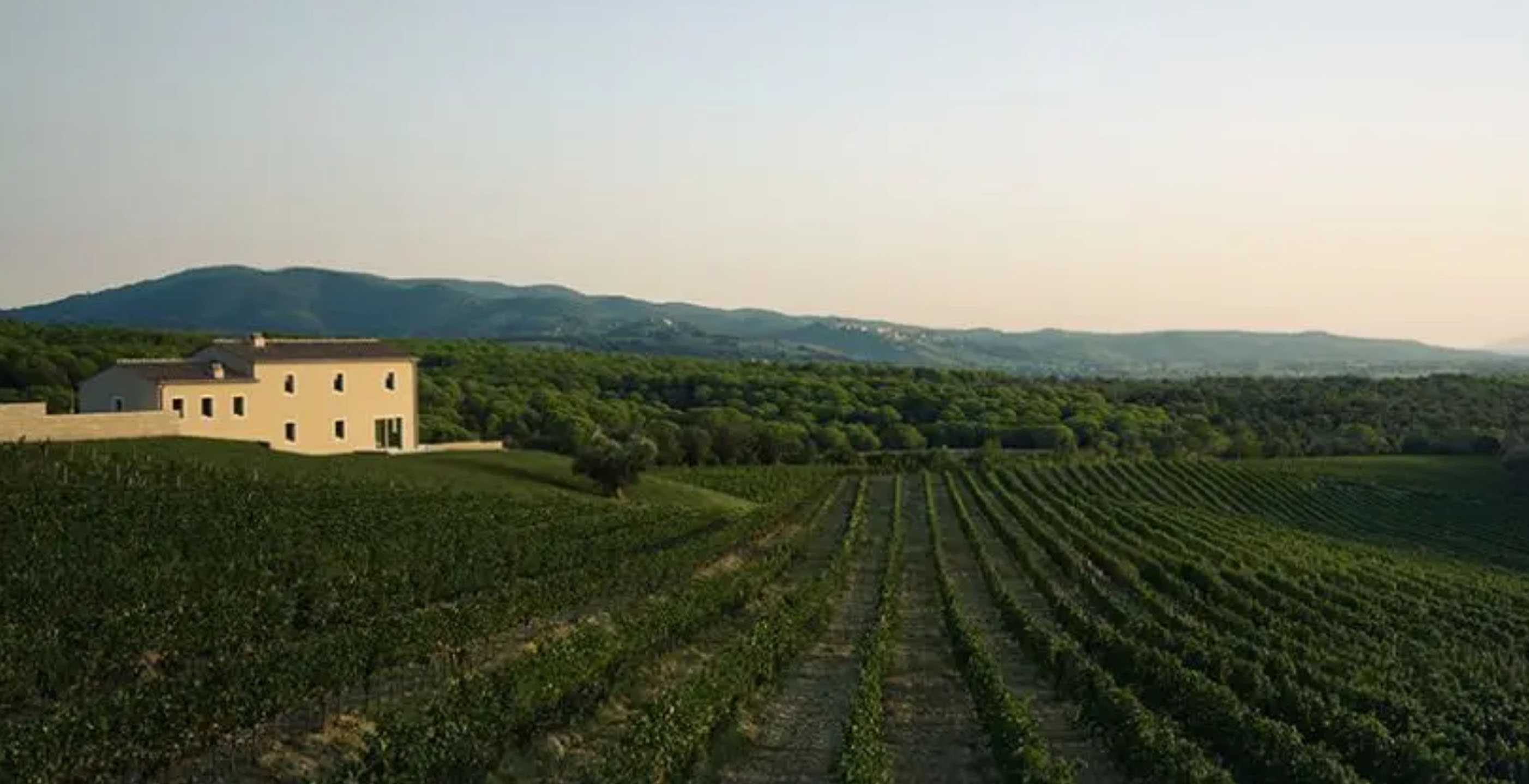 Toscana - Fra Chianti Classicos grønne bakker over Brunellos stramme terroir til Bolgheris kystnære modernitet