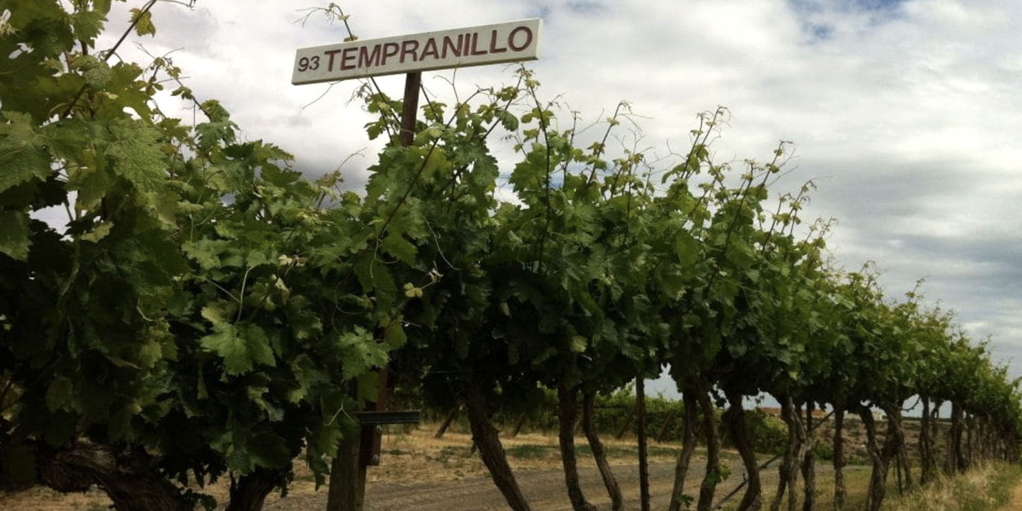 Kom med på en fantastisk Club Winest-tur til Spanien