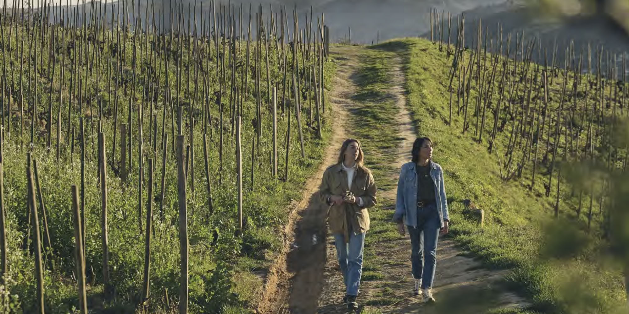 Winest 100-points-torsdag med Domaine de la Chapelle