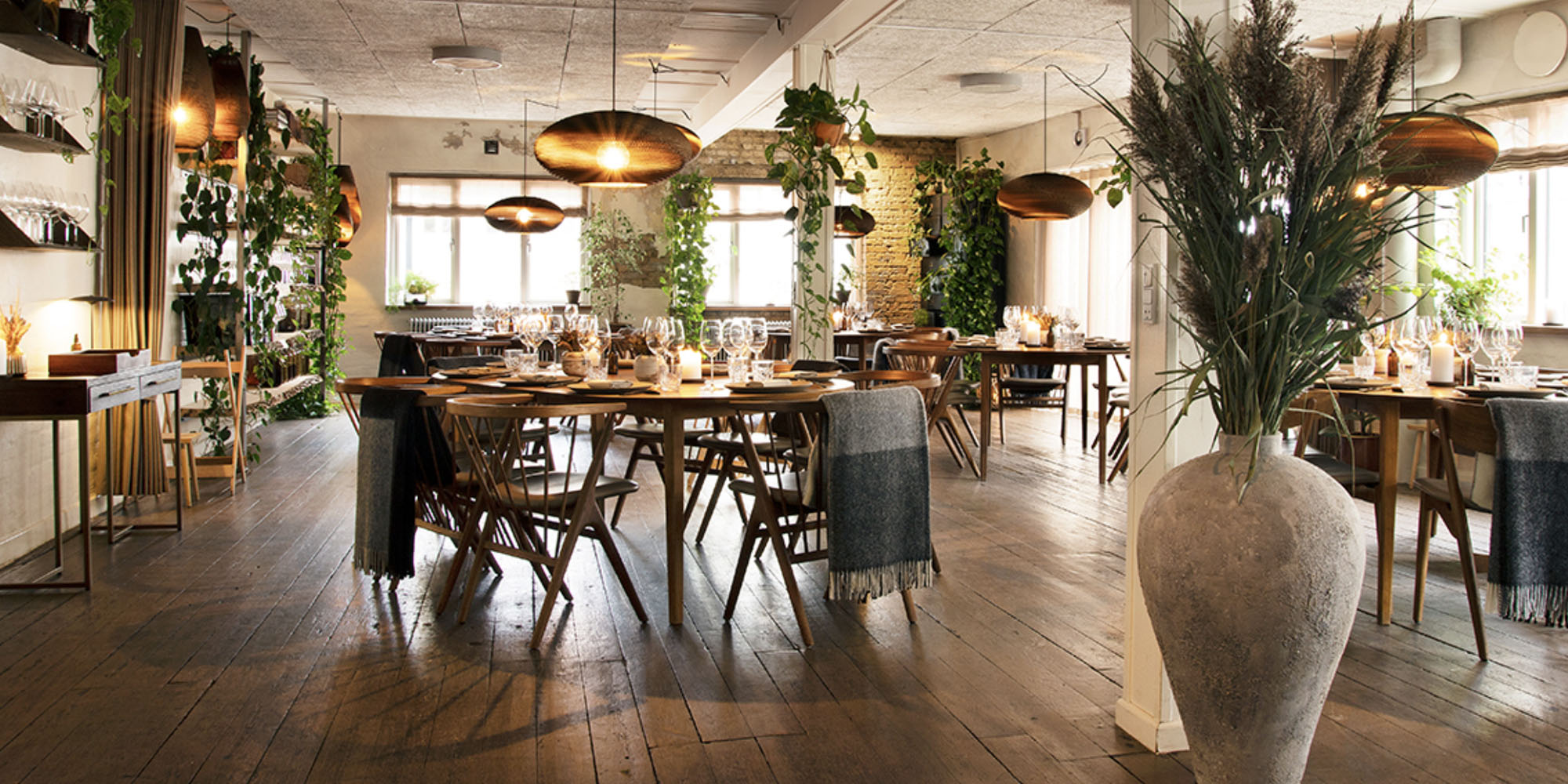 Uformel og informativ Winest-briefing på Restaurant Domestic i Aarhus