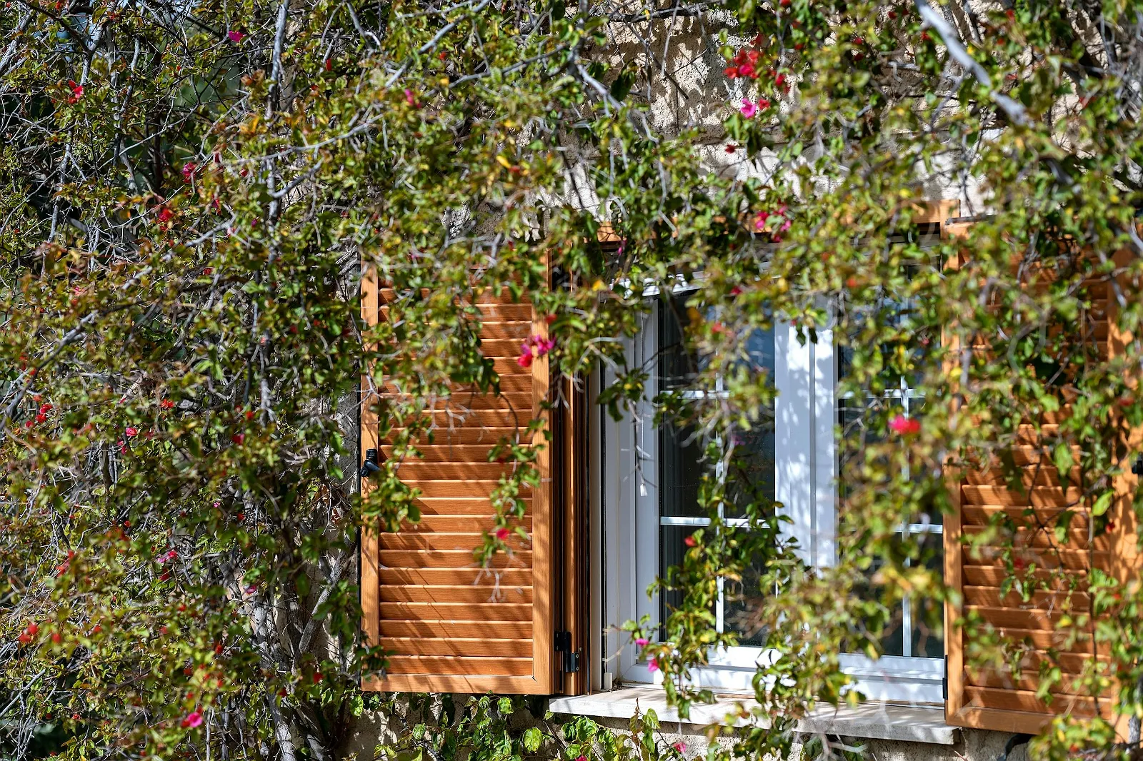Detail of a window with traditional wooden shutters and blooming bougainvillea, showcasing the rustic charm of Villa Scarlett ByMilagro.