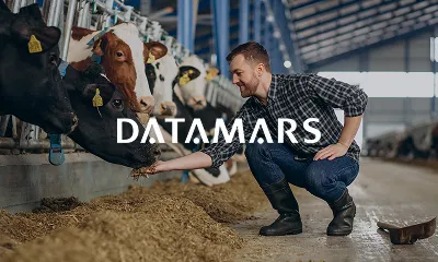 Datamars UK