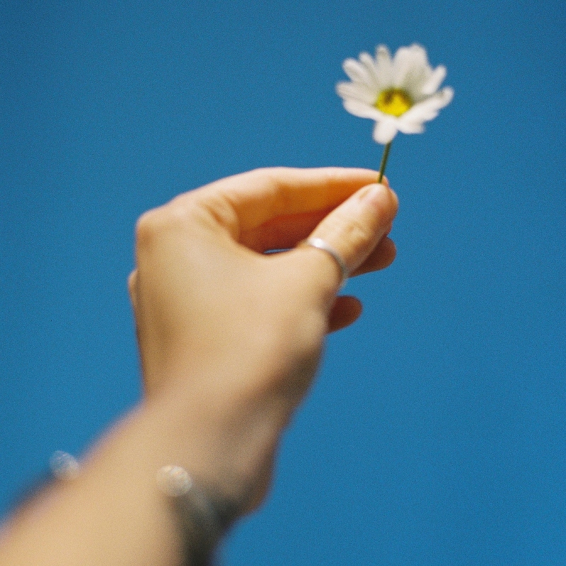 The Power Of Equanimity