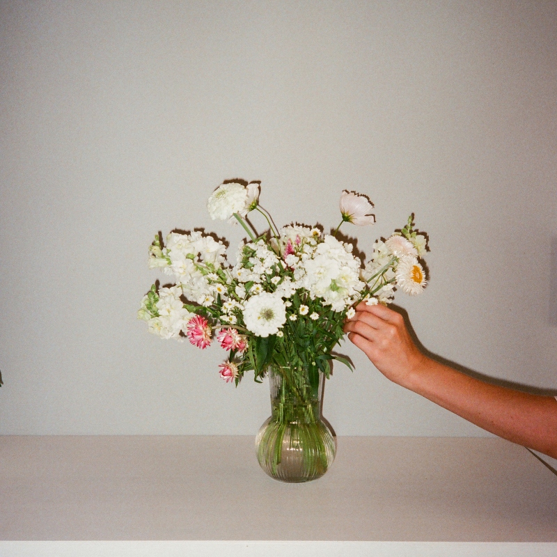 The Moldy Fridge of Shame