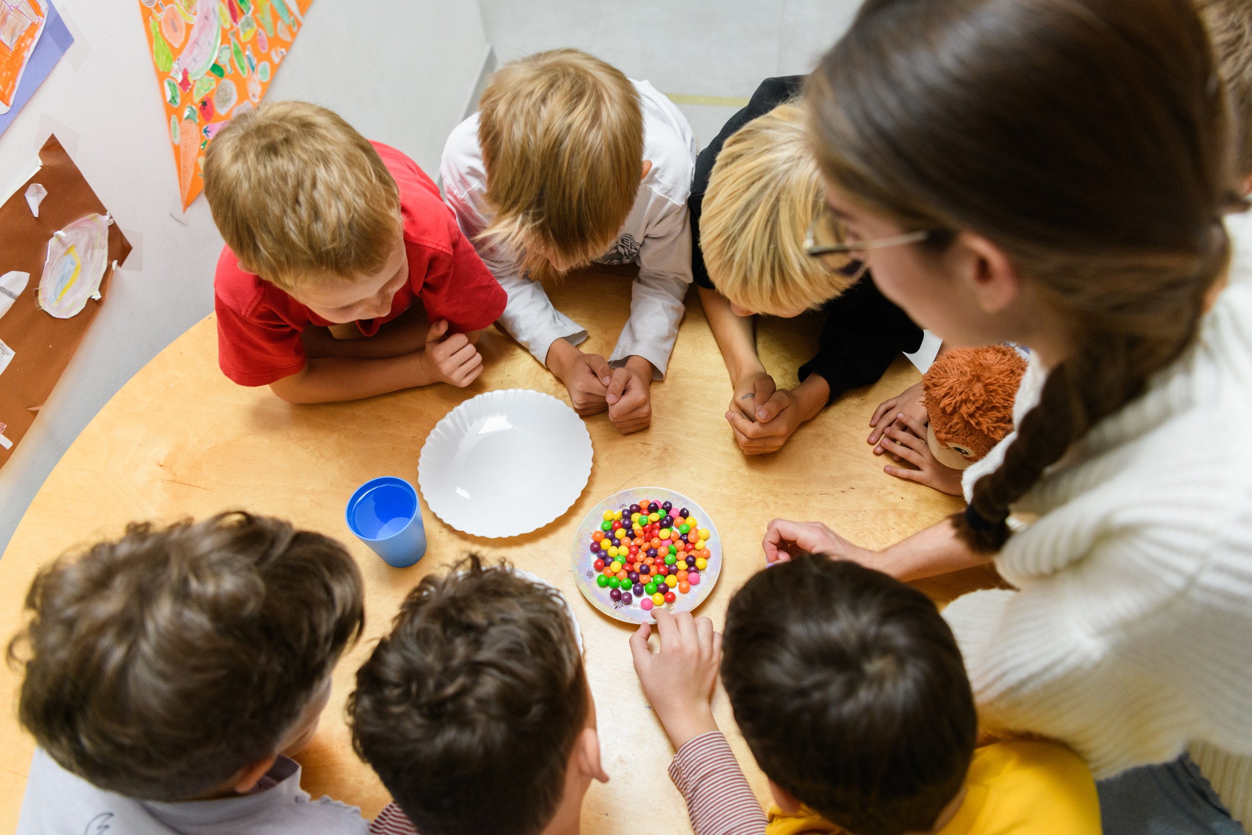 Приватна школа Сапієнс, м. Вишгород, Київська область