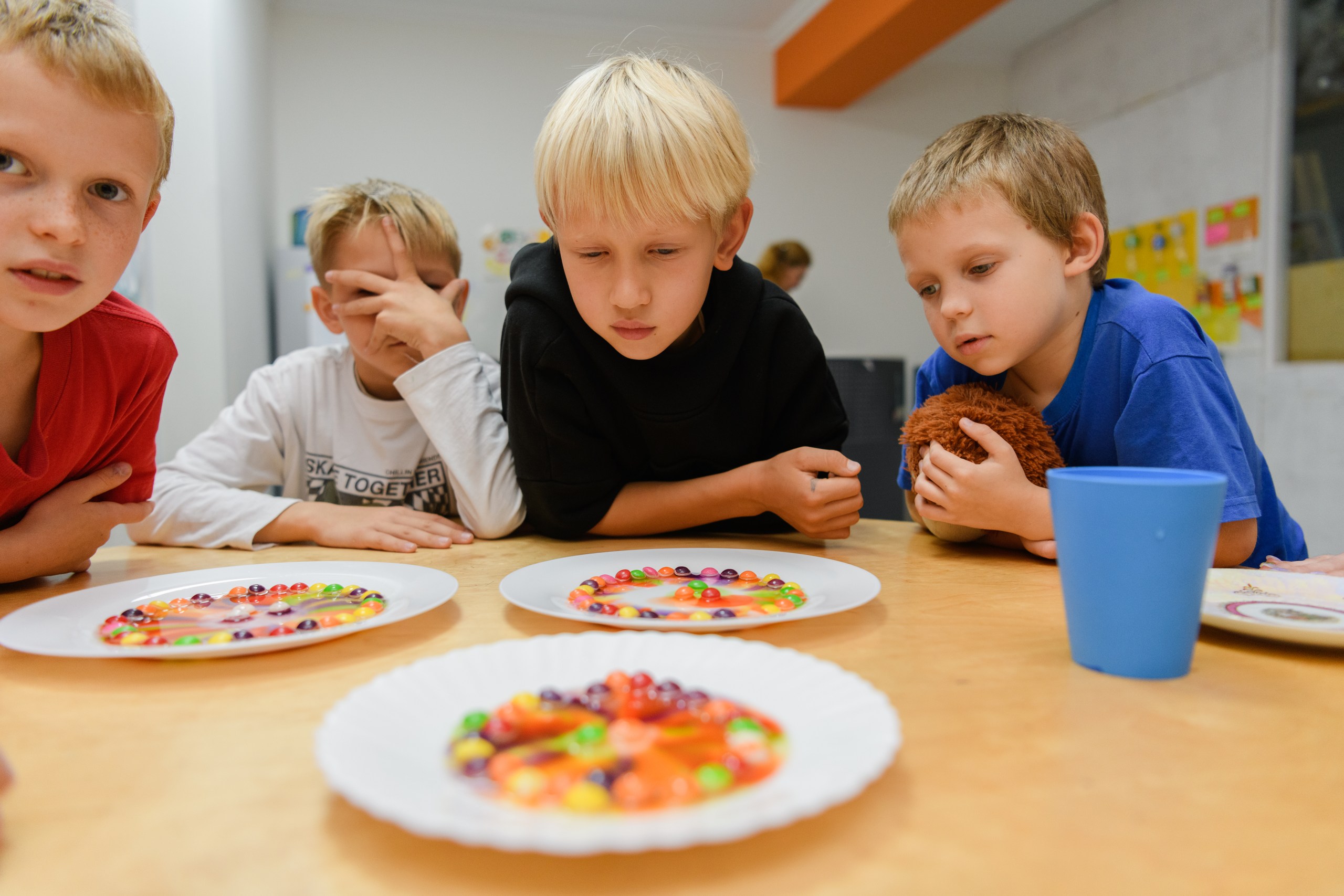 Урок. Приватна школа Сапієнс у місті Вишгород