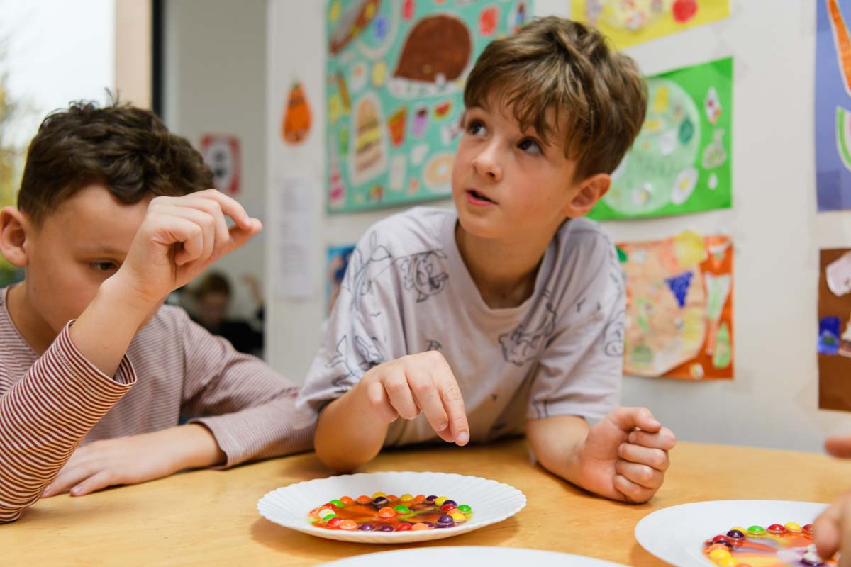 Урок. Приватна школа Сапієнс у місті Вишгород