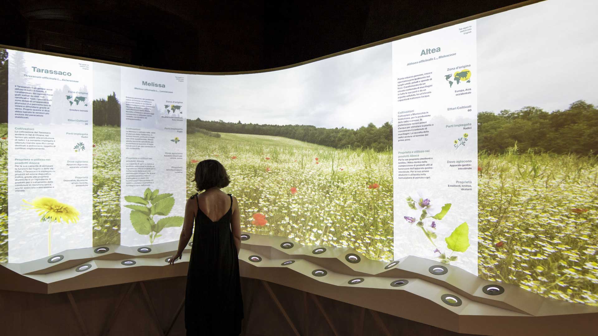 Clipped image of Space Builder's workflow. This image shows the results of exported nDisplay config files.