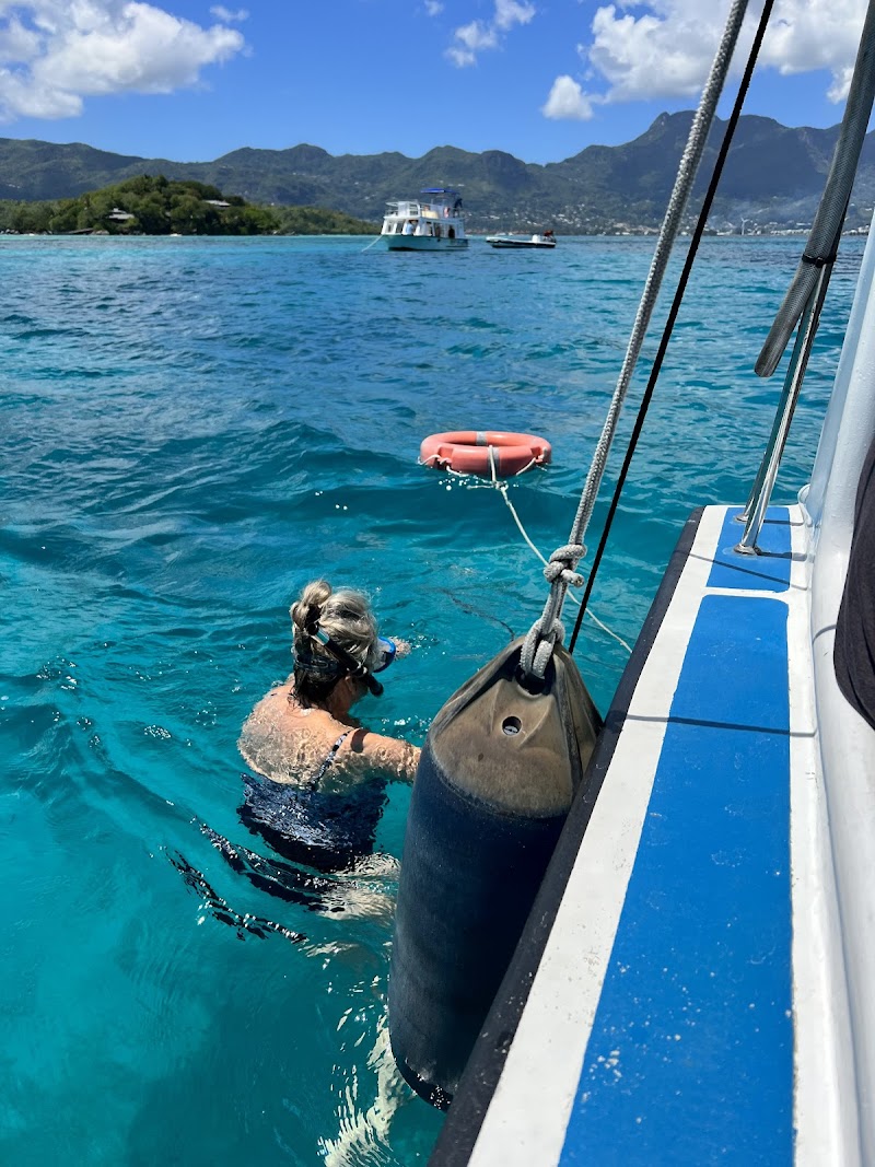 Snorkeling at Saint Anne Marine National Park