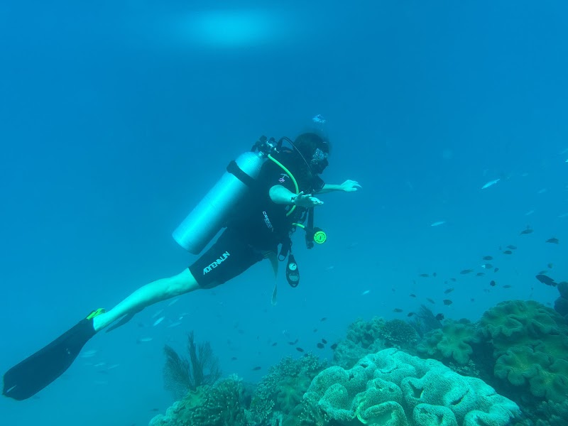 Great Barrier Reef Snorkeling and Diving