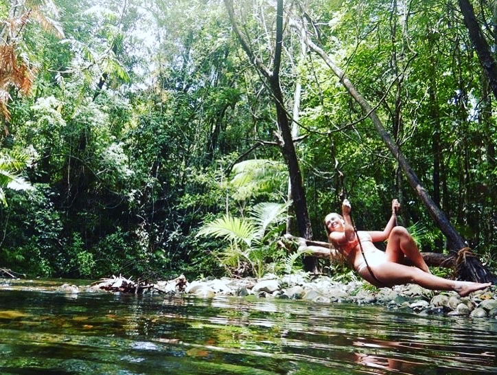 Daintree Rainforest Tour