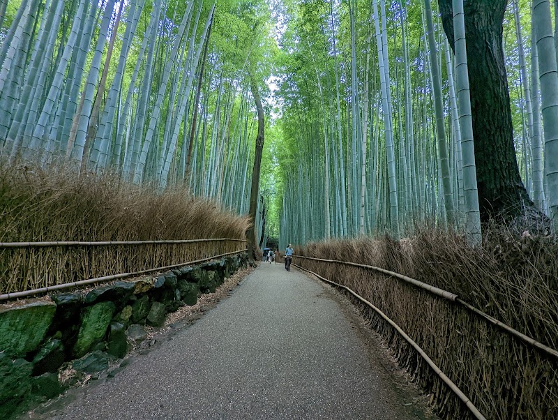 Arashiyama Bamboo Grove