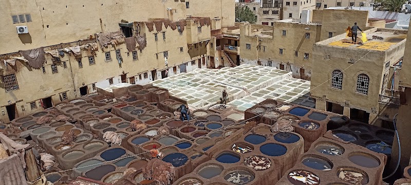 Tour the Chouara Tannery