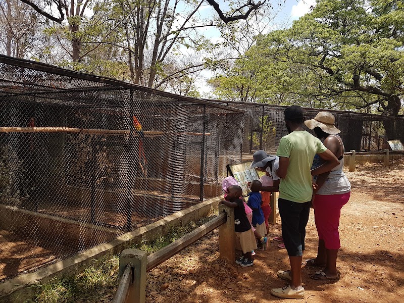 Visit Mukuvisi Woodlands