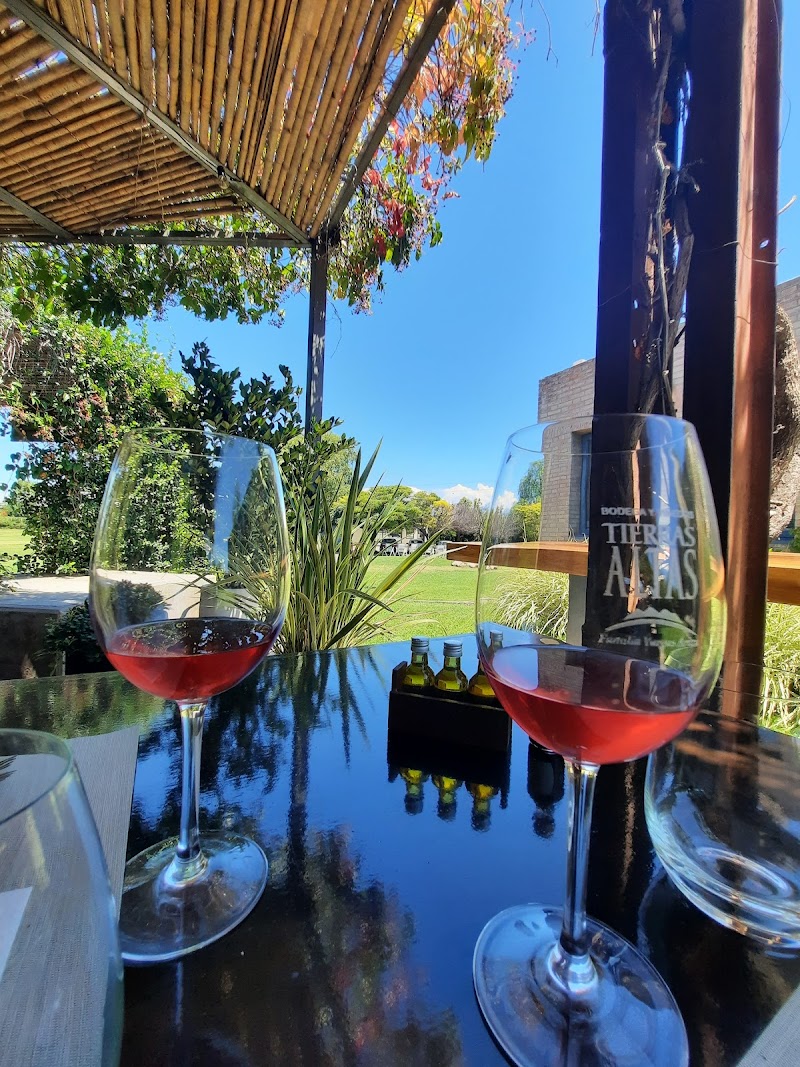 Wine Tasting in Maipú or Luján de Cuyo