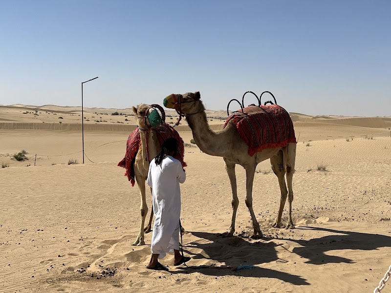 Desert Safari in the Empty Quarter