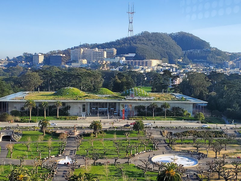 Explore Golden Gate Park