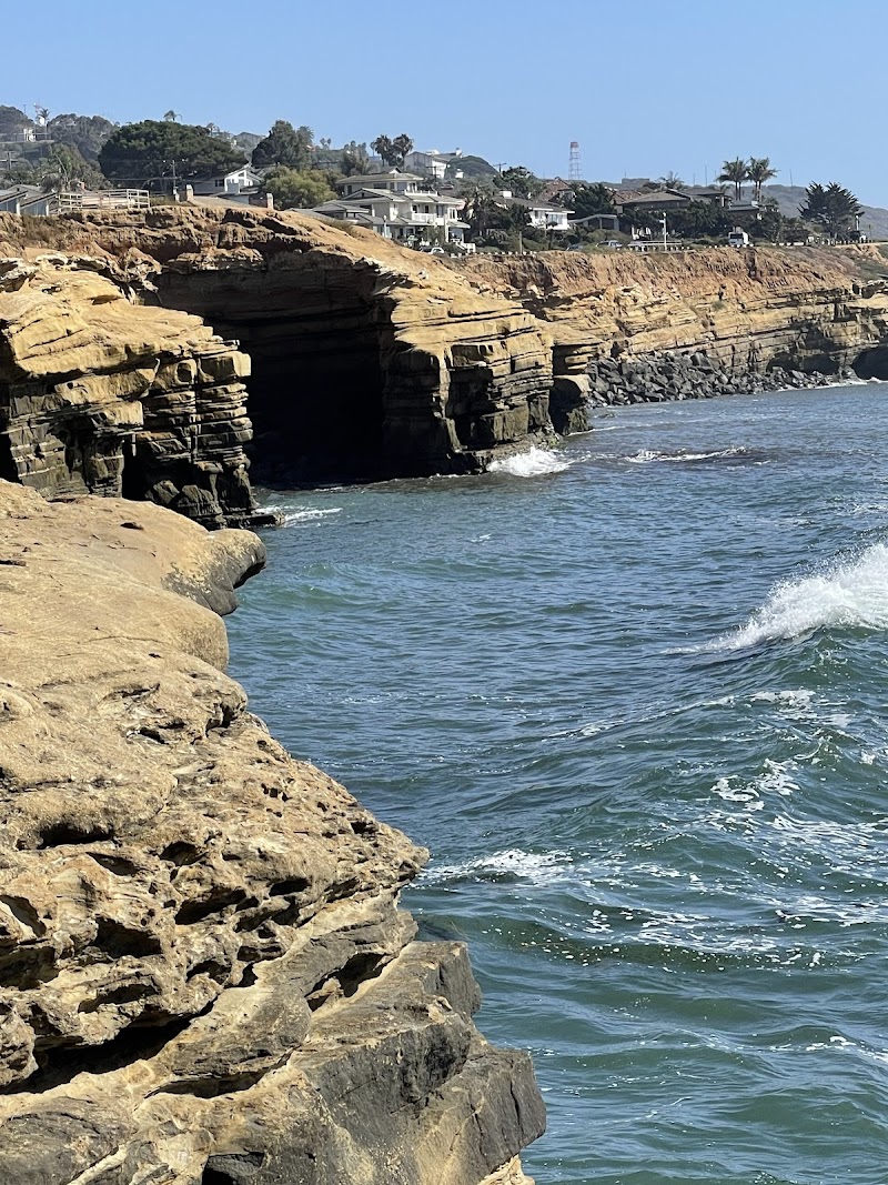 Relax at La Jolla Cove