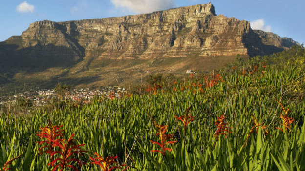 Table Mountain Aerial Cableway