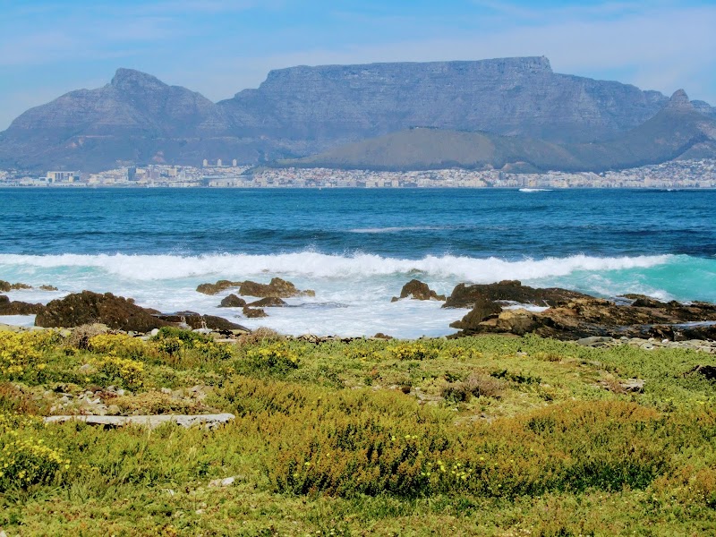 Robben Island Tour - Cape Town - South Africa - booked ai