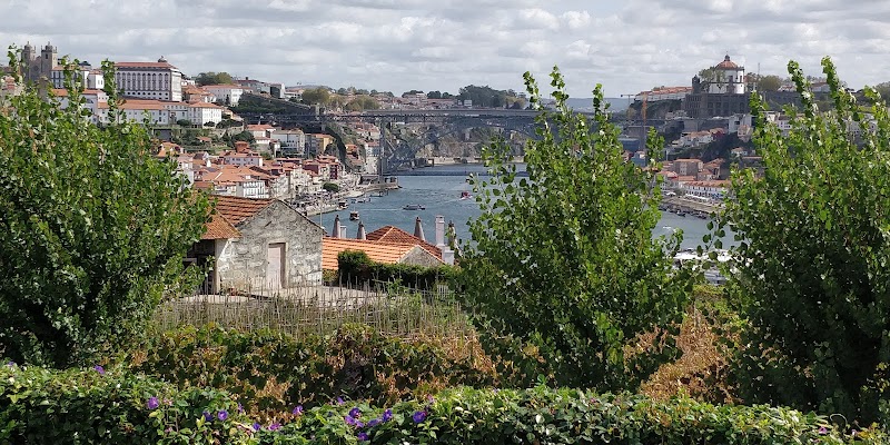 Tour the Port Wine Cellars in Vila Nova de Gaia